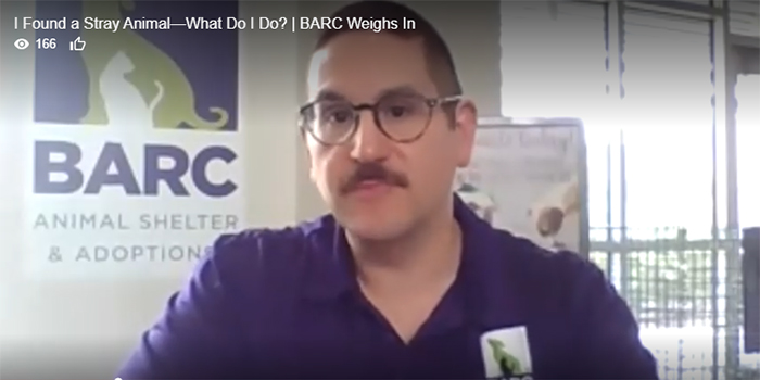 Interview with BARC Employee