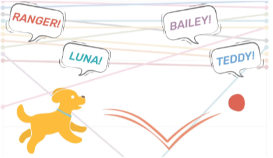 Popular Dog Names