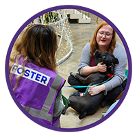 Two Foster Moms Playing with a Black Dog