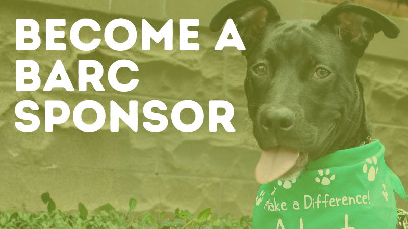 Become a BARC sponsor