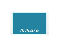 Asian American Architects and Engineers Association