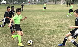 H-TOWN SOCCER ACADEMY