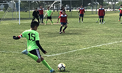 H-TOWN SOCCER ACADEMY