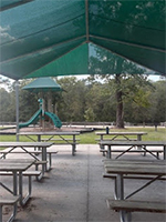 Nature Center Canopies from Near