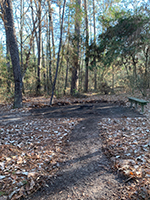 LHWP Primitive Campsite with Walking Trail