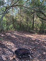 LHWP Primitive Campsite