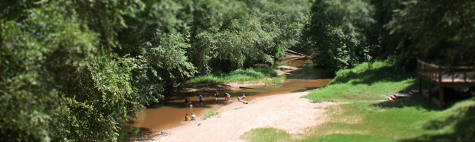 A few people playing in the creek at Lake Houston Wilderness Park