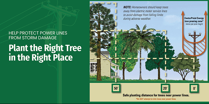CenterPoint Energy Tree Planting Guide