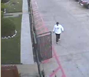 Suspect Smiliar Vehicle