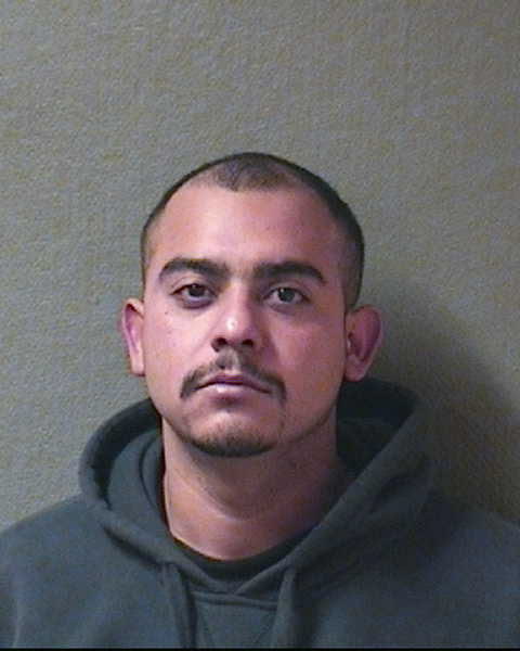 Cristian Lince (2011)