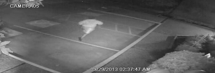 Photos of Possible Suspect Attached