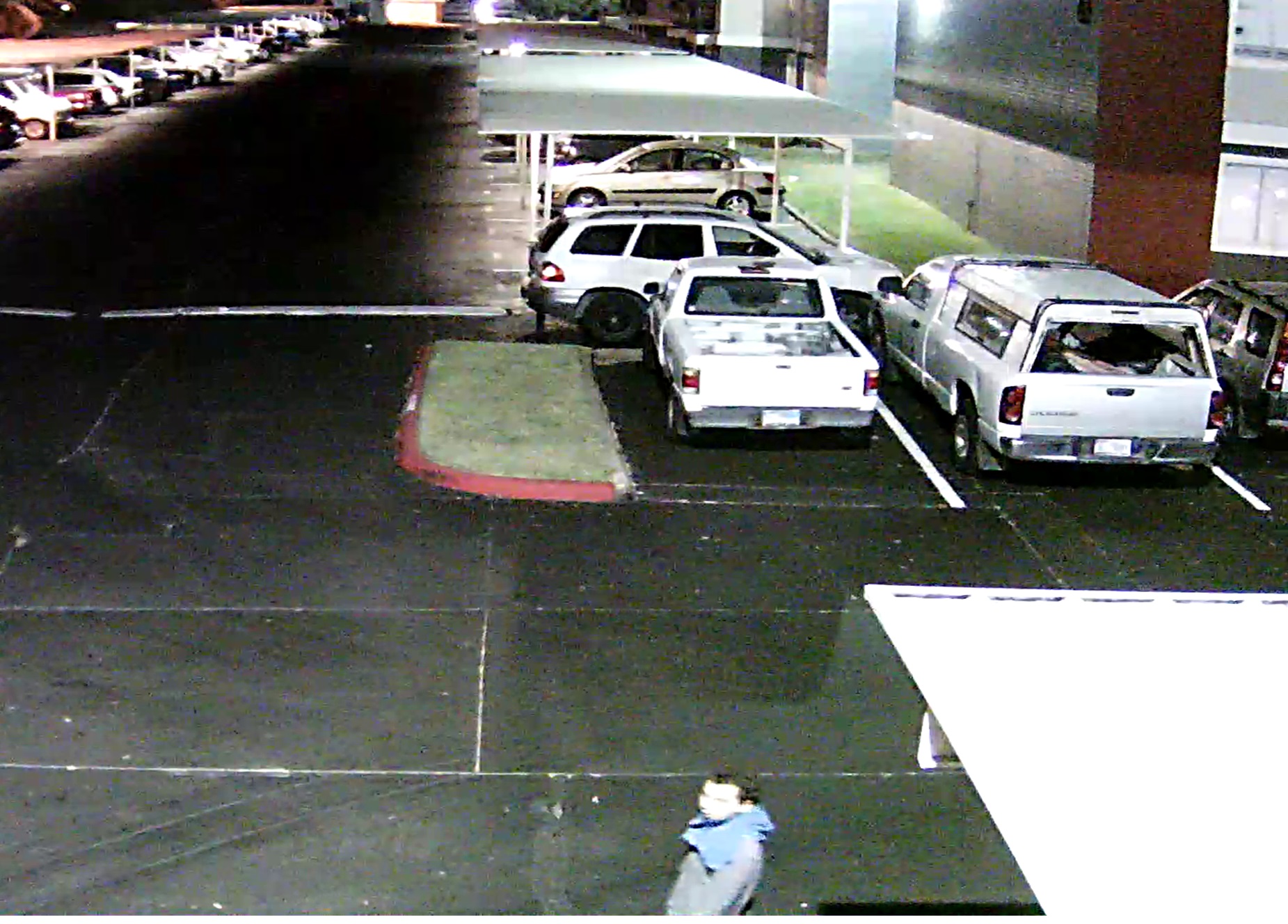 Surveillance Photo