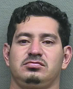 Josue Daivid Celis-Maltes