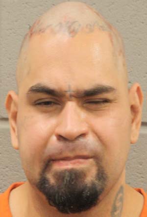 William Nicolas Rubio
