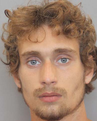 Andrew Montana Webster