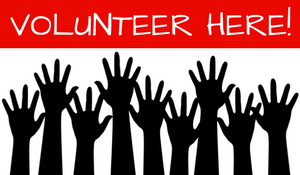 Volunteer Here